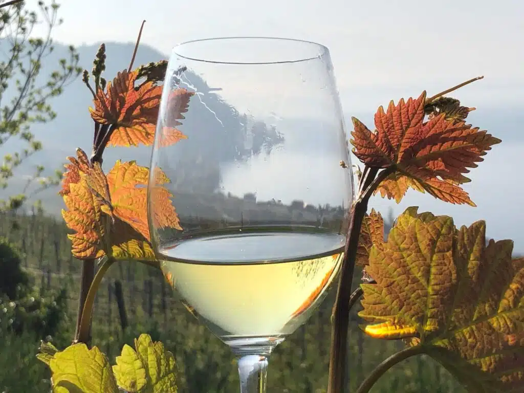 IMG 0097 Scaled 1024x768