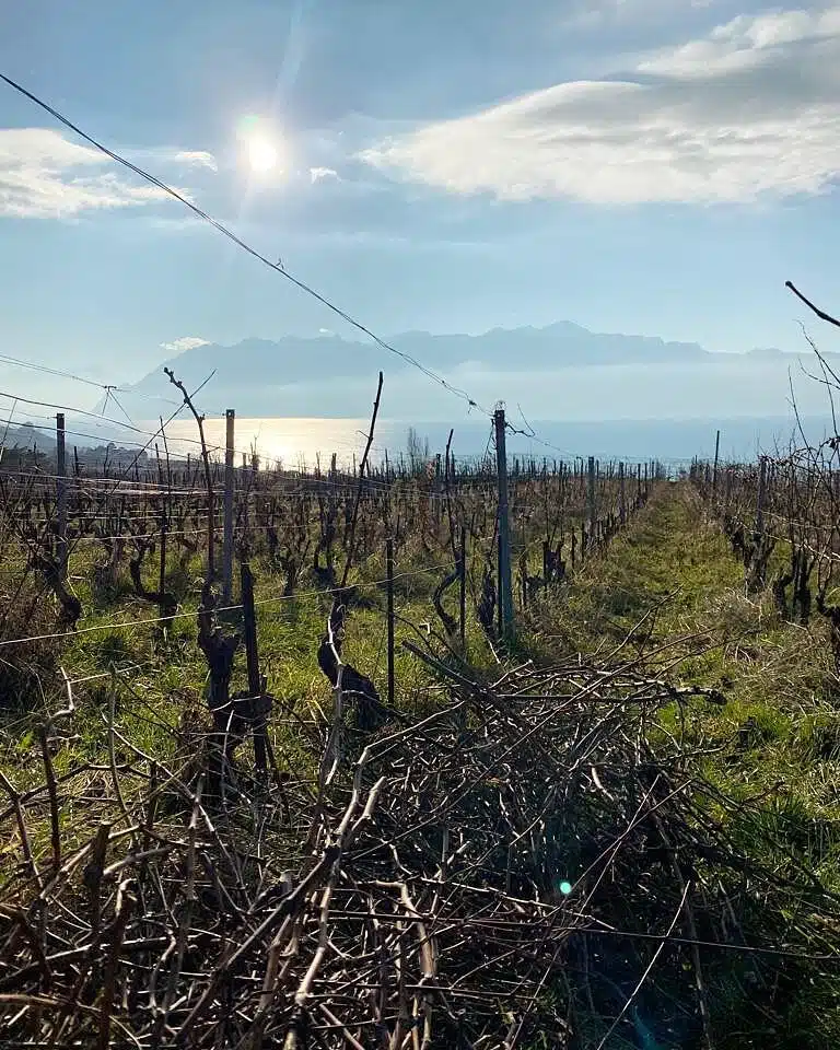 IMG 20210107 121138 400