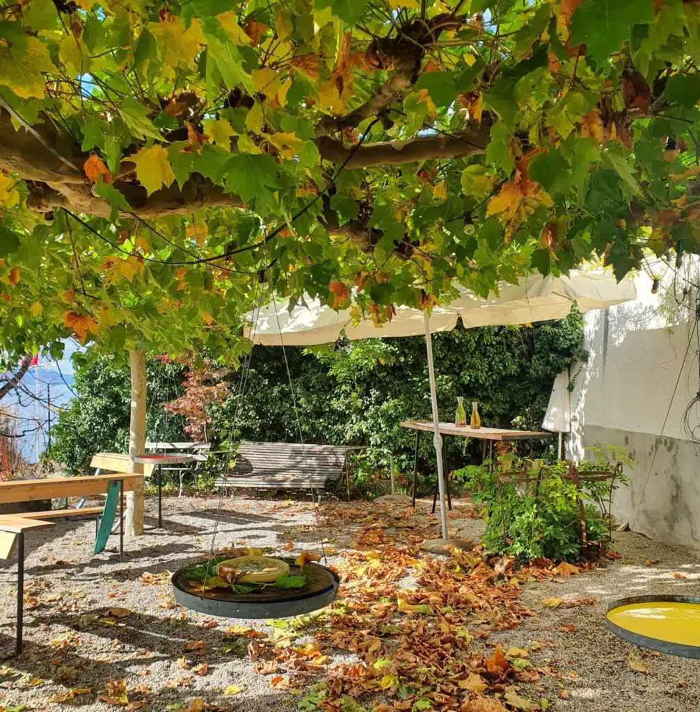 20211022 114307 Scaled 1006x1024