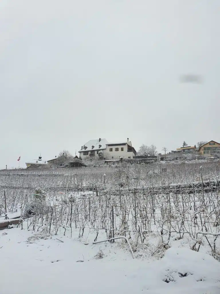 20211210 092940 Scaled 768x1024