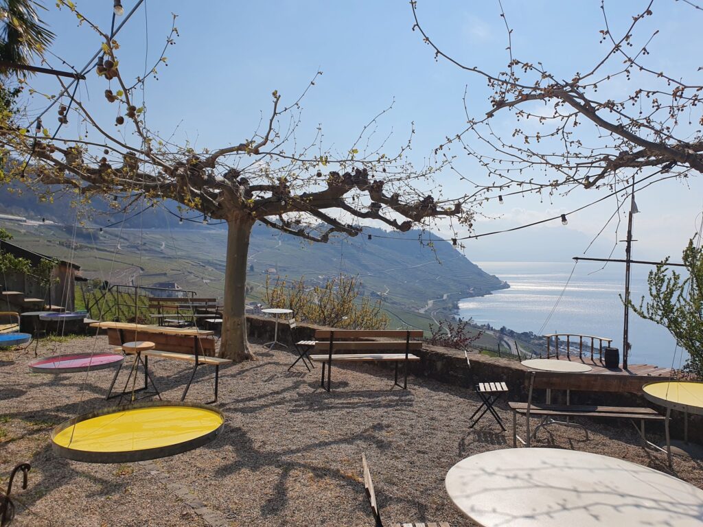 20210416 104953 Scaled 1024x768