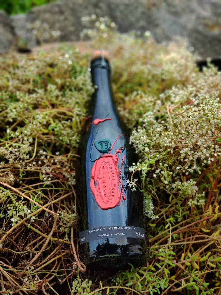 PHOTO 2024 07 22 13 49 01 768x1024