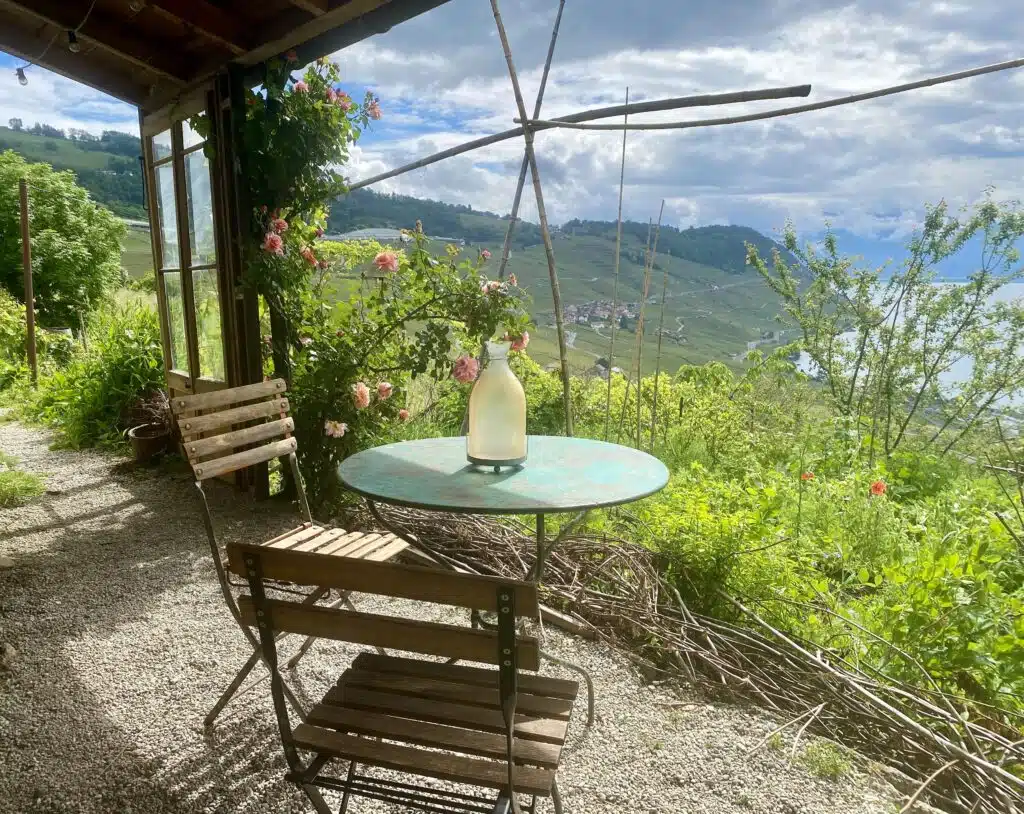 IMG 1787 Copie 1024x814