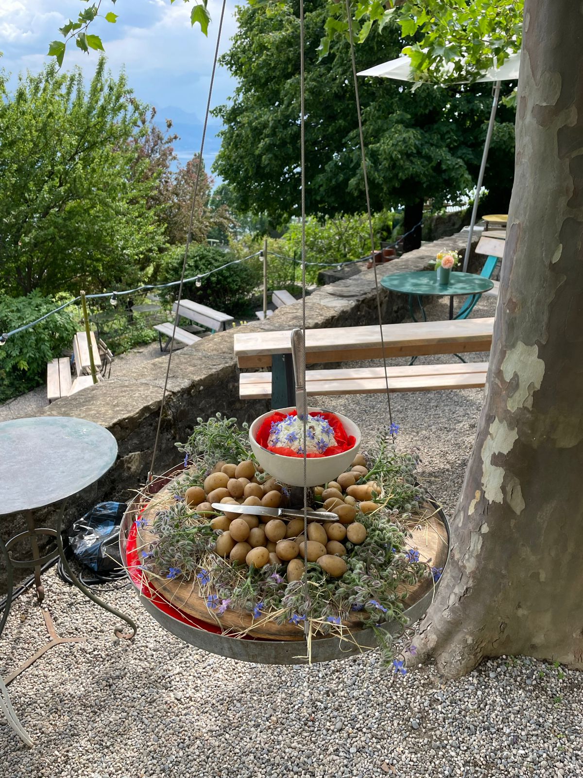 PHOTO 2024 03 06 14 37 18 Copie