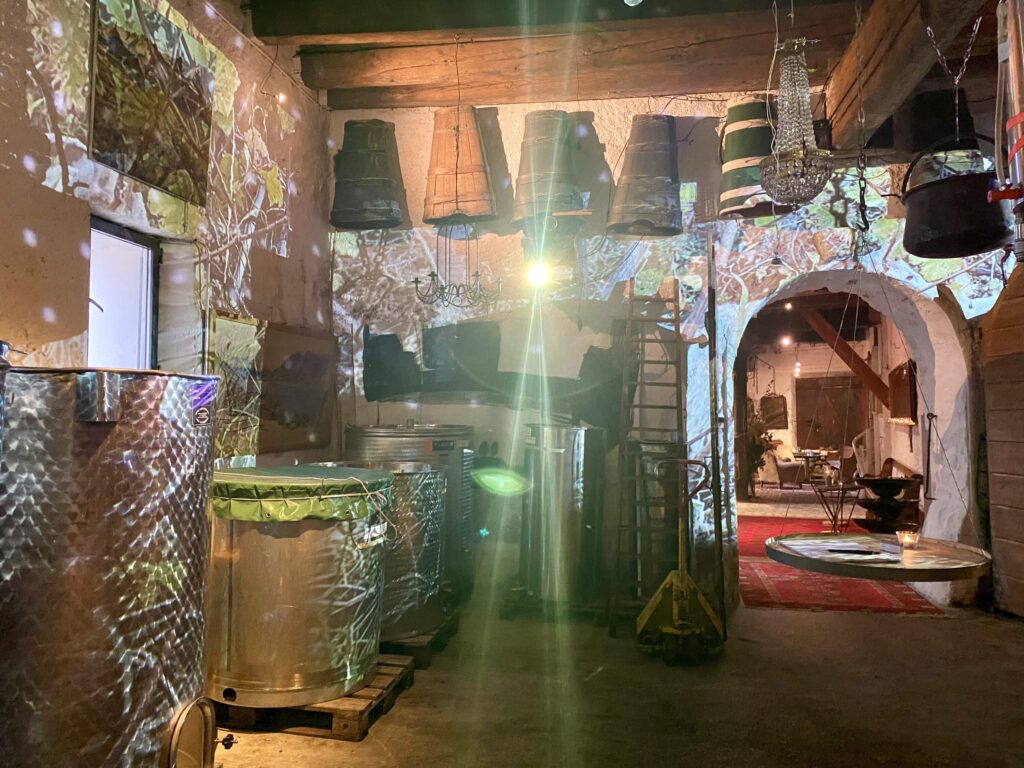 IMG 3951 Scaled 1024x768