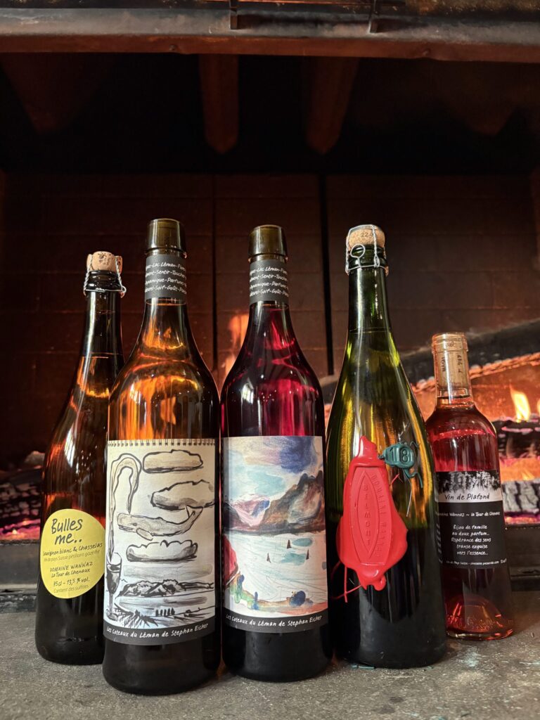 IMG 4082 Scaled 768x1024