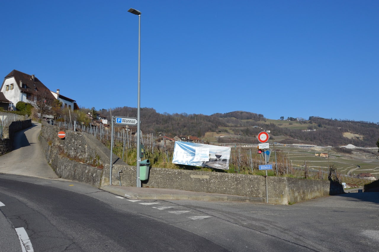 Les vignes du Domaine Wannaz