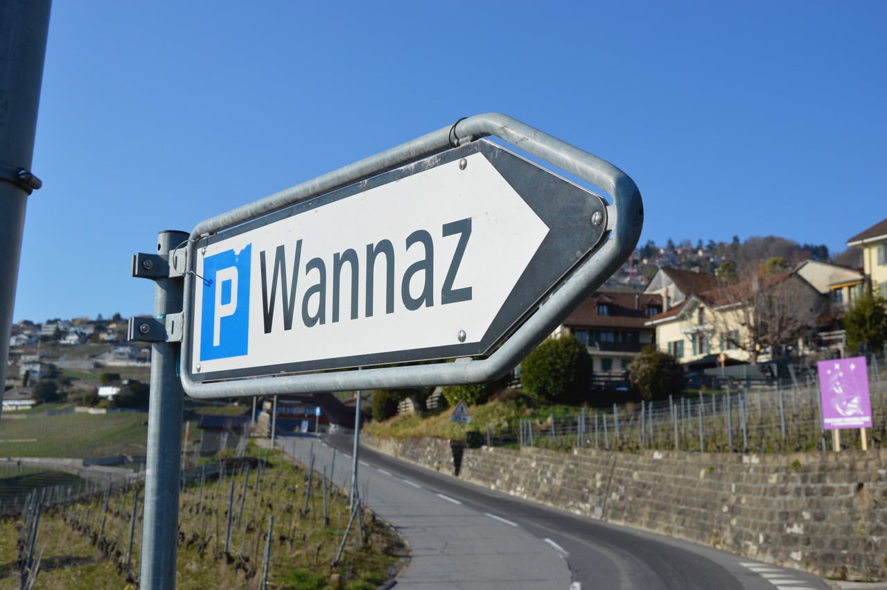 Les vignes du Domaine Wannaz