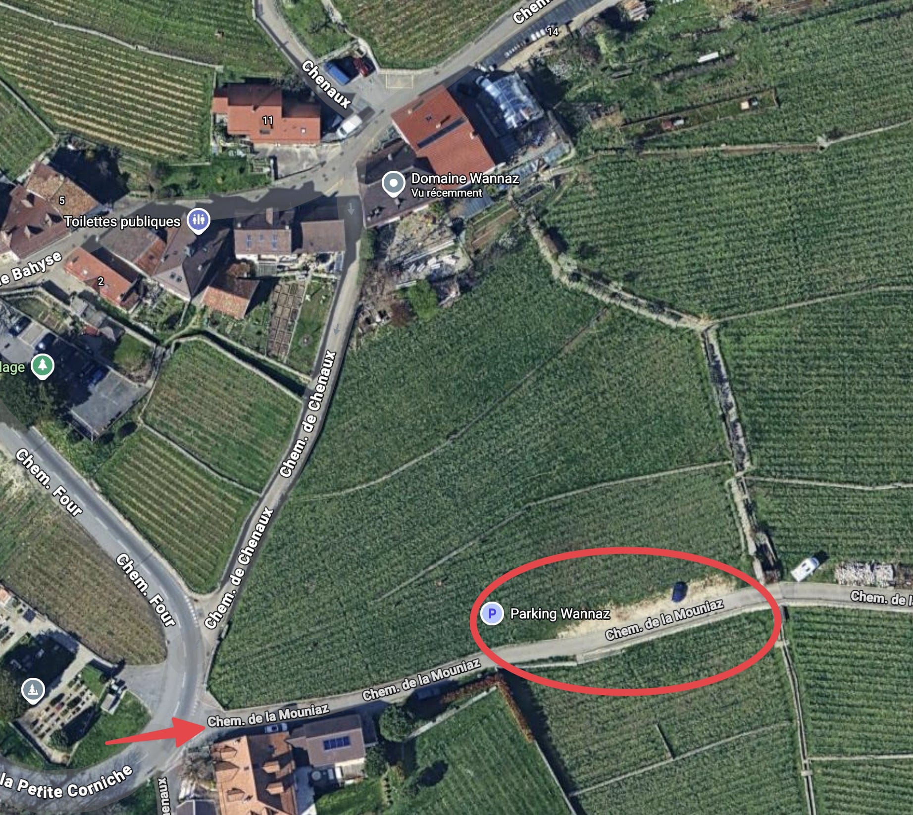 Les vignes du Domaine Wannaz
